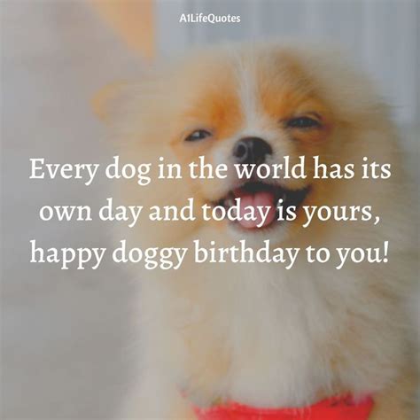 Dog birthday quotes – Artofit