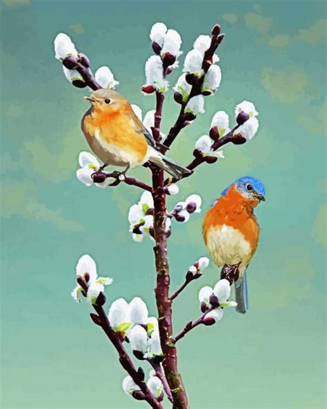 Bluebirds On Pussy Willow D Diamond Painting DiamondPaintKit