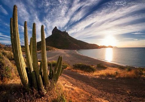 San Carlos Bay Sea Of Cortez Sonora State Mexico Desierto De