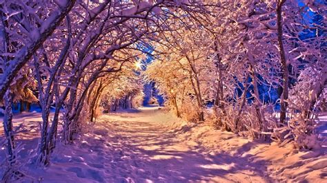 Winter Landscape Wallpaper (80+ pictures) - WallpaperSet