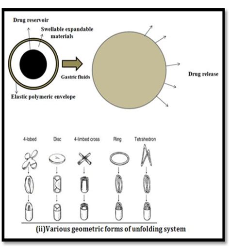 Figure 1 From ADVANCEMENTS IN CONTROLLED RELEASE GASTRORETENTIVE DRUG