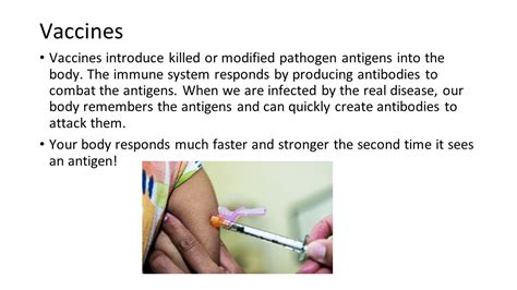 Case Study Influenza Peer Program