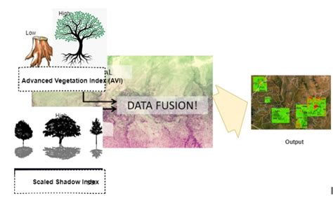 Forest Canopy Density Fcd Tropical Forest Monitoring And