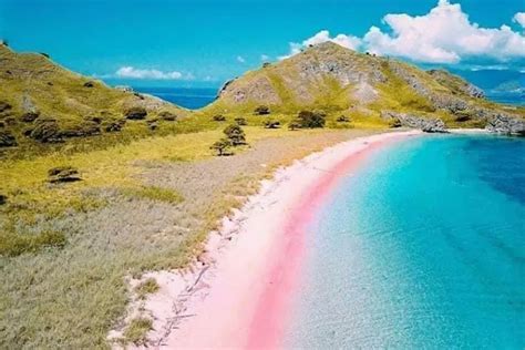 Eksotisnya Pink Beach Lombok Hidden Gems Di Ntb Kilat