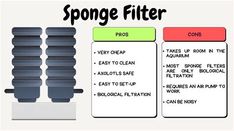 Guide to Choosing the Best Filter for Your Axolotl Tank – Axolotl Authority