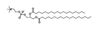 Lipid DSPC CAS 816 94 4 CordenPharma