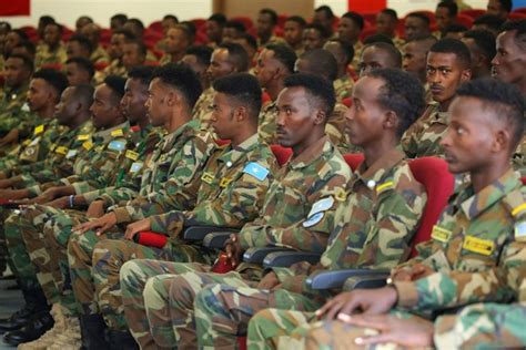 Somali President visits Somali commandos-in-training in Turkey