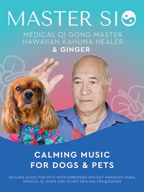 Cavalier King Charles Spaniel - Gift Collection - Ginger, the Ruby King Charles Cavalier Spaniel