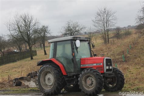 Zdjęcie ciagnik Massey Ferguson 6130 id:553337 - Galeria rolnicza agrofoto
