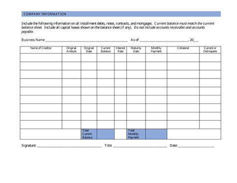 Company Debt Schedule Template Download Printable Pdf Templateroller