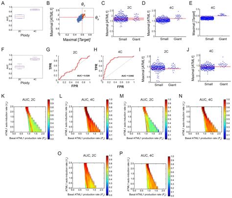 Figures And Data In Fluctuations Of The Transcription Factor Atml