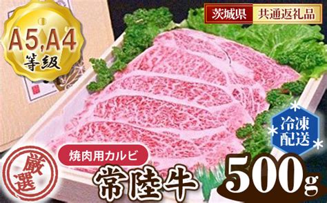 No100 常陸牛 厳選！焼肉用カルビ500g（a5・a4等級）＜茨城県共通返礼品＞ ／ 牛肉 黒毛和牛 高級 茨城県 茨城県坂東市