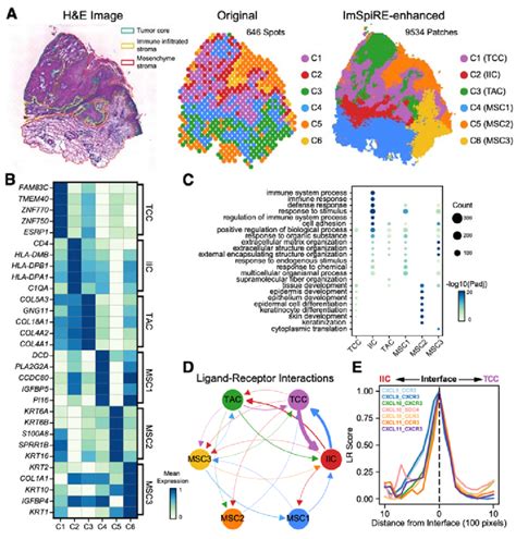 Imspire Allows The Discovery Of Spatial Domains And Ligandreceptor Download Scientific Diagram