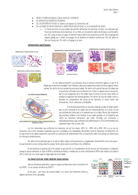 Solution Generalidades Microbiologia Bacterias Studypool