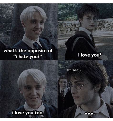 Harry Potter Puns Gay Harry Potter Harry Potter Puns Harry Potter