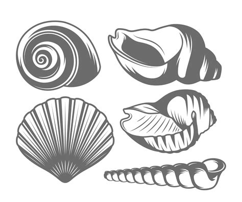 Seashells Icon Set 2251554 Vector Art At Vecteezy