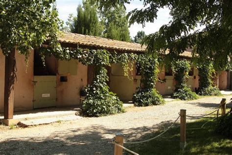 Centre équestre du Grand Mas d Assas Nîmes