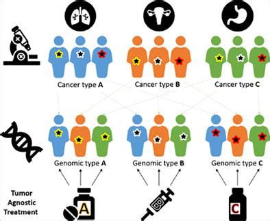 Tumoragnostic Inhibitors In Oncology A New Phase For Precision Medicine