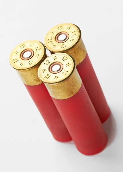 Shotgun Shells — Stock Photo © Krasyuk 7338583