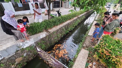 Foto Warga Puri Pamulang Menyulap Selokan Jadi Kolam Ikan Foto