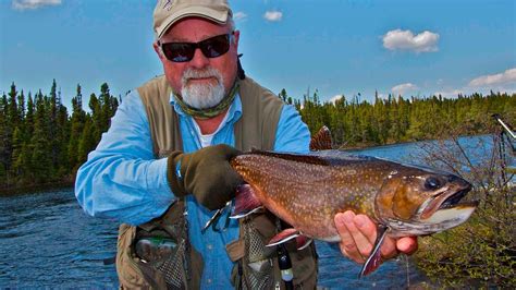 Dry Fly Brook Trout Labrador Three Rivers Lodge Youtube