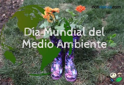 5 De Junio Día Mundial Del Medio Ambiente ¿por Qué Se Eligió Esta