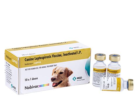 Injection Canine Leptospirosis Vaccine Nobivac Lepto, For, 45% OFF
