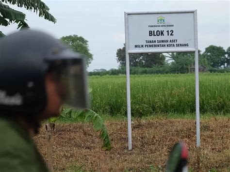 412 Hektar Aset Pemkot Serang Dijadikan Sawah Dan Empang Di Sawahluhur