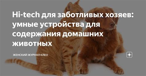 Hi-tech для заботливых хозяев: умные устройства для содержания домашних ...
