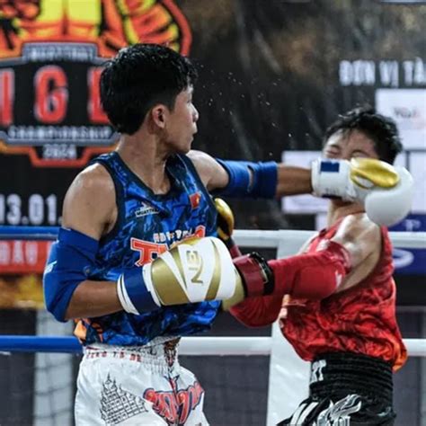 Kim Cương Vàng Đồng Hành Tại Giải Đấu Muay Thai Tiger Championship Mừn