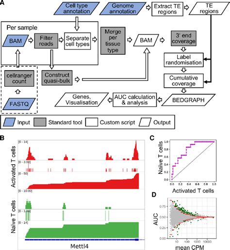 Overview Of SCUREL A Schematic Representation Of The Workflow For