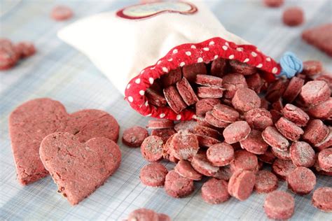 Easy Homemade Salmon Dog Treats - Dalmatian DIY