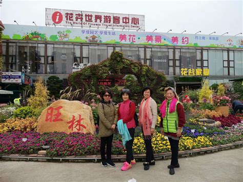 陈村花场出租佛山到陈村花卉市佛山陈村花卉世界在哪里 丫空间