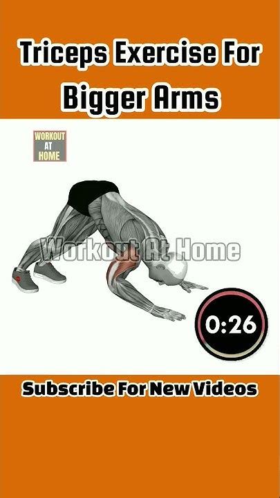 5 Best Triceps Exercise For Bigger Arms Biggger Arms Workout At Home Workout Biggerarms