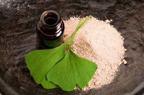 Beneficios Del Ginkgo Biloba Mui Vida Sana