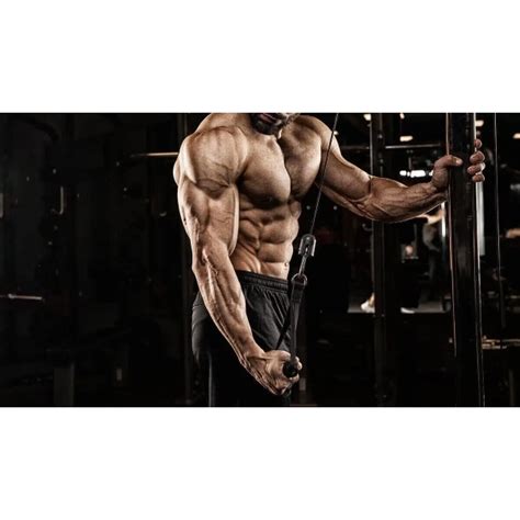 Olimp Extreme Speed Shot - 20 X 25Ml - Low Price, Check Reviews and ...