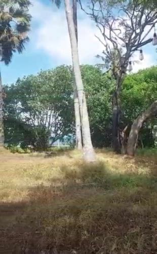 Beach Front Land Cemagi Badung Bali Tanah Dijual Di Kabupaten Badung