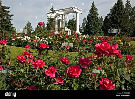 Rose hill garden manito park hi-res stock photography and images - Alamy