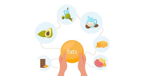 20 examples of unsaturated fats - Vivid Examples