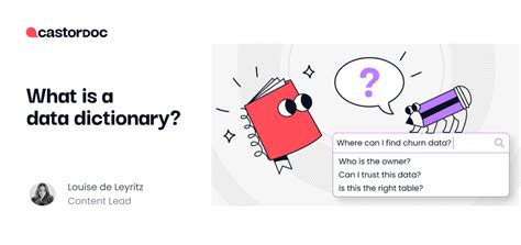 What Is A Data Dictionary Castordoc Blog