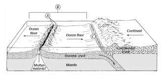 Seafloor Spreading Diagram With Labels | Viewfloor.co