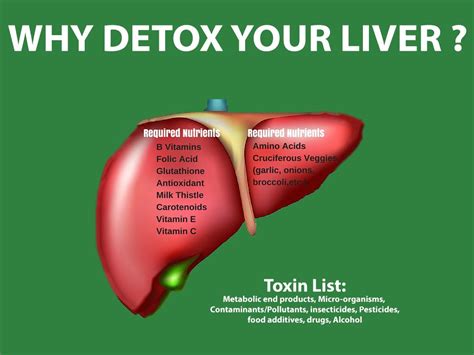 Revitalize Your Health Power Of Liver Cleanse For A Vibrant You