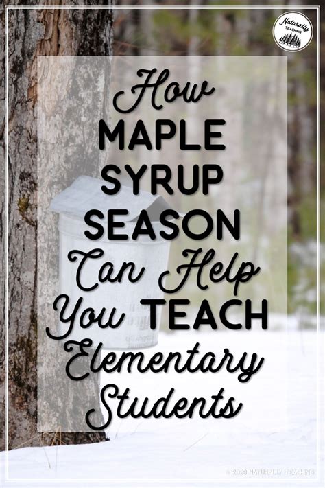 How Maple Syrup Season Can Help You Teach Elementary Students