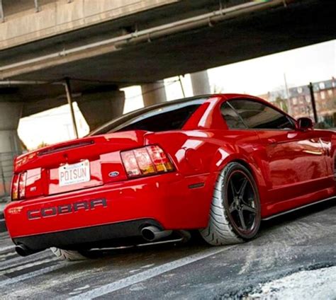 Mustang Svt Cobra 2003