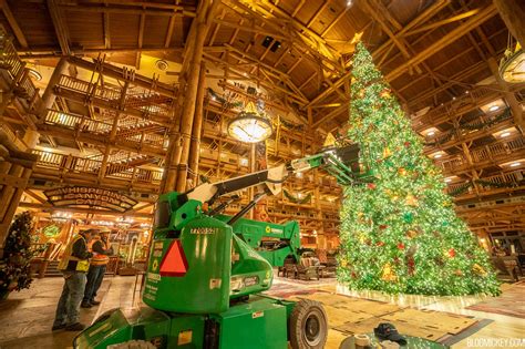 Detailed Look At Wilderness Lodge Christmas Tree Installation