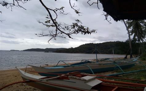 For Sale Hectares Beachfront Lot At Busuanga Coron Palawan