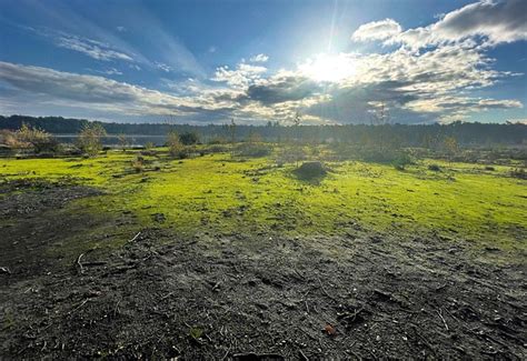 Sonnenaufgang Sonne Morgen Kostenloses Foto Auf Pixabay Pixabay