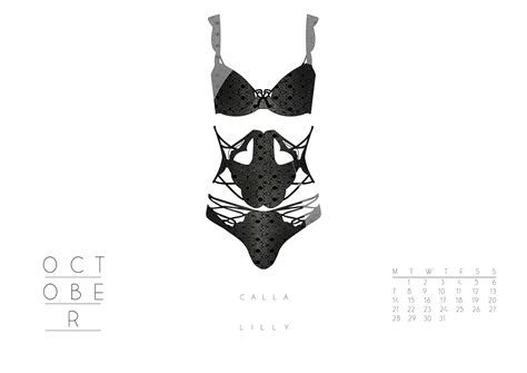 Lingerie Calendar On Behance