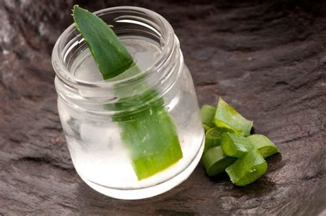 Маска для волос с алоэ, приготовленная в домашних условиях