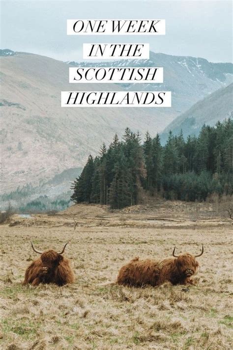 The Ultimate 1 Week Scottish Highlands Itinerary | Highlands schotland ...